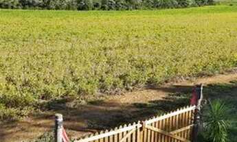 Imagem: Vendo chácara linha Tigre