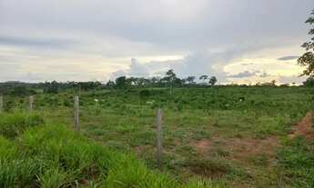 Imagem: Vendo ou troco 4 hectares 200x200