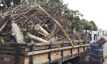 Imagem 3: Faço frete sou de Anápolis