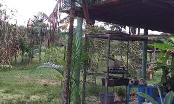 Imagem 3: Vendo Terreno em Sta Isabel do Pará