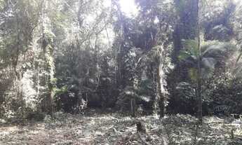 Imagem 7: Terreno na Estrada da Graciosa em Cond. Fechado