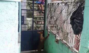 Imagem 4: Casa Casa com 1 vaga na garagem