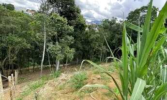 Imagem 6: Vendo/troco chácara porto dourado 1000m2