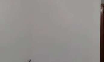 Imagem 3: APARTAMENTO COM 03 QUARTOS E SUITE NO BAIRRO PALMEIRAS