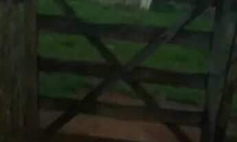 Imagem 3: Chácara na Região de melhor Ecoturismo do DF