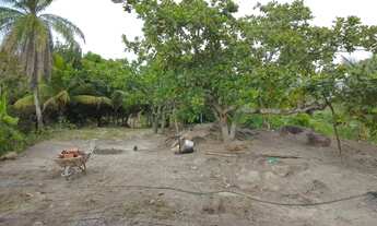 Imagem 6: Vende-se ou troco um Sítio