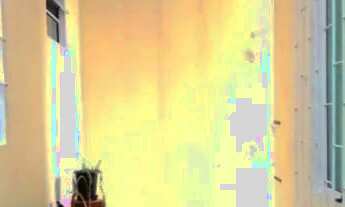 Imagem 5: Vende casa Casa com 3 dormitórios