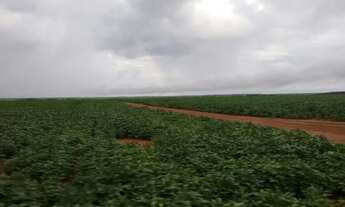 Imagem 11: Fazenda c/ 720he, sendo 500he em lavoura, Município de Rondonópolis-MT