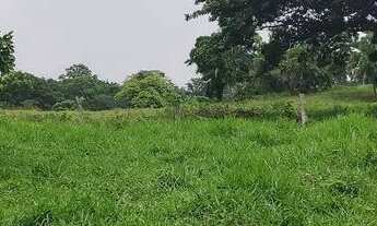 Imagem 3: Fazenda em Goiás velho