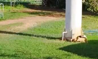 Imagem 3: Agua Limpa/ Bady Bassit- Sitio