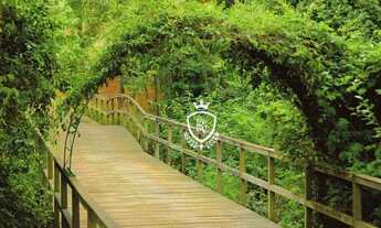 Imagem 7: Terreno à venda, 10000 m² por R$ 21.000.000,00 - Condomínio Fazenda Boa Vista - Porto Feli