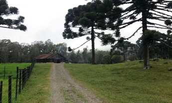 Imagem: Sitio - Bairro Serra Grande