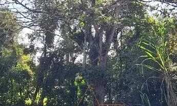 Imagem 3: Chácara à venda em Quadra-SP, bairro Aleluia: 3 quartos, 1 sala, 2 banheiro, 120,00m² de á