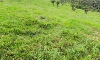 Imagem 4: Lote/Terreno para venda com 410000 metros quadrados em Zona Rural - Marechal Deodoro - AL