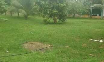 Imagem 6: Sítio 250 x 1.000 na AM 010 km 127 205.800,00