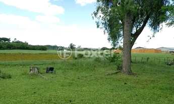 Imagem 3: Fazenda / Sítio / Chácara à venda Rua Orlando Caetano Chaves, Passo do Vigário - Viamão