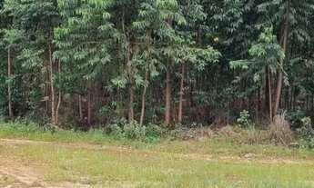 Imagem 7: Vende-se uma excelente fazenda de 226 hectares