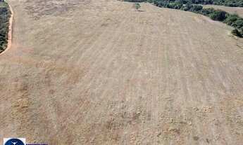 Imagem 3: Terra à Venda em Silvânia/GO - 75 hectares