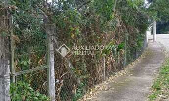 Imagem 6: Terreno à venda em Petrópolis - Caxias do Sul