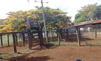 Imagem 2: Chácara à venda em Matrinchã, Goiás 15 Alqueires