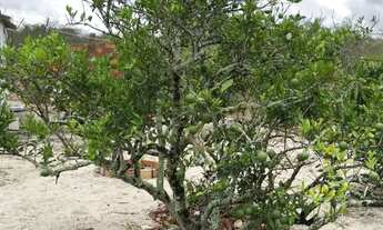 Imagem 5: Oportunidade localização privilegiada para venda chapada de Santa Bárbara