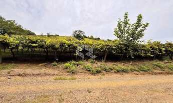 Imagem 7: Propriedade Rural com produção de Uvas e uma casa de Mista