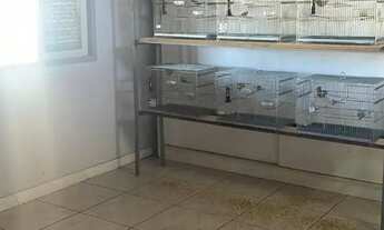 Imagem 4: Imóvel para aluguel possui 1700 mts com galpão e murado