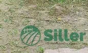 Imagem 6: Casa germinada em Morungava