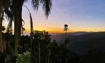 Imagem 5: Fazenda/Sítio/Chácara para venda possui 10000 metros quadrados com 10 quartos
