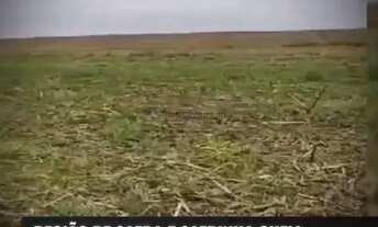 Imagem 4: Fazenda nova casa branca no triangula Mineiro de 5050 hectares