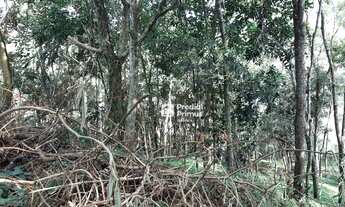 Imagem 2: Terreno à venda, 480 m² por R$ 200.000,00 - Vargem Grande - Nova Friburgo/RJ