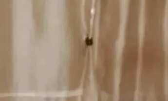 Imagem 2: Apartamento à venda no MORADAS UNIVERSITÁ CONDOMÍNIO CLUBE , ROSA MARIA, São Cristóvão, SE