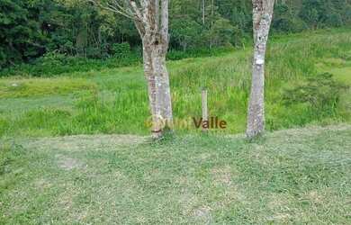 Imagem 5: Terreno à venda, 3166 m² por R$ 103.500,00 - Bairrinha Varginha - Natividade da Serra/SP