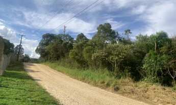 Imagem 4: Área no Roça Grande - Colombo PR