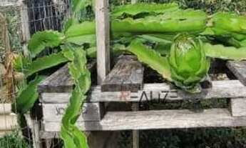 Imagem 2: Área à venda, 45000 m² por R$ 1.200.000 - Área Rural - Monte Mor/SP