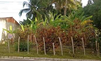 Imagem 2: Terreno em aguilhadas Pirambu