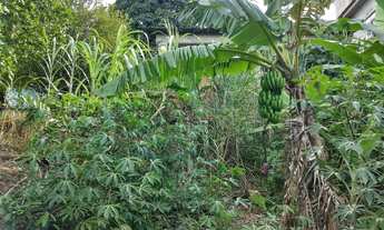 Imagem 7: Casa em construção