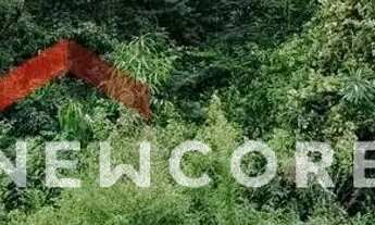 Imagem 5: Lote em rua dos Pinheiros - Alpes Verdes - Canela/RS