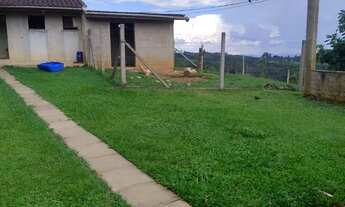 Imagem 7: Chácara no interior de campo largo ,1 alqueire