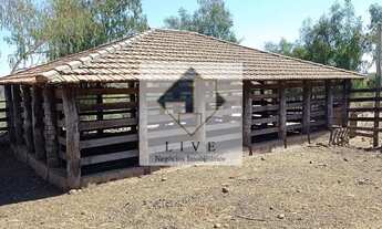 Imagem 6: Fazenda à venda, Veredas, João Pinheiro, MG