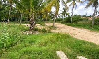Imagem 5: Lote à venda em rua pública, TATUAMUNHA, Porto de Pedras, AL