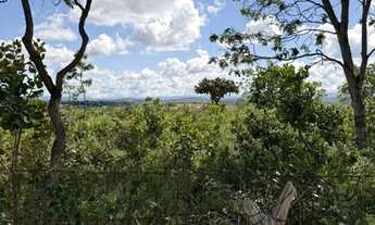 Imagem 4: Terreno 1.000 m2 São Jose de Almeida