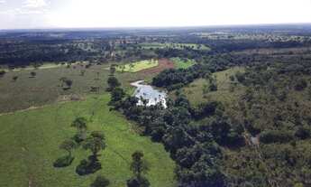 Imagem 4: Fazenda com 102 alqueires em Trombas-GO