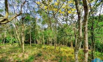 Imagem 6: Amplo Terreno Localizado no Bairro Siriú, em Garopaba, com Fácil Acesso às Praias da Regiã
