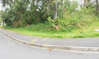 Imagem 4: Terreno para Venda em Quatro Barras, Jardim Orestes Thá