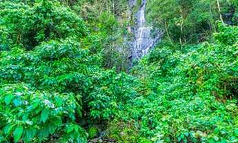 Imagem 4: Chácara à Venda em Novo Hamburgo