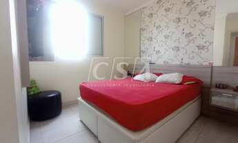 Imagem 6: PIRACICABA - Padrão - Piracicamirim