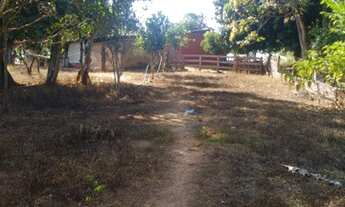 Imagem 4: Vendo Chácara, município de Anápolis (valor 280 mil