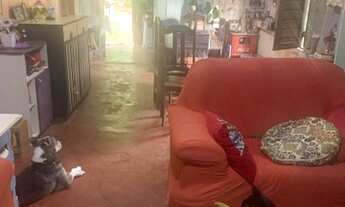 Imagem 3: Terreno plano com casa jardim 2