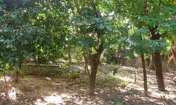 Imagem 2: Chácara para Venda em Dona Catarina Itu-SP